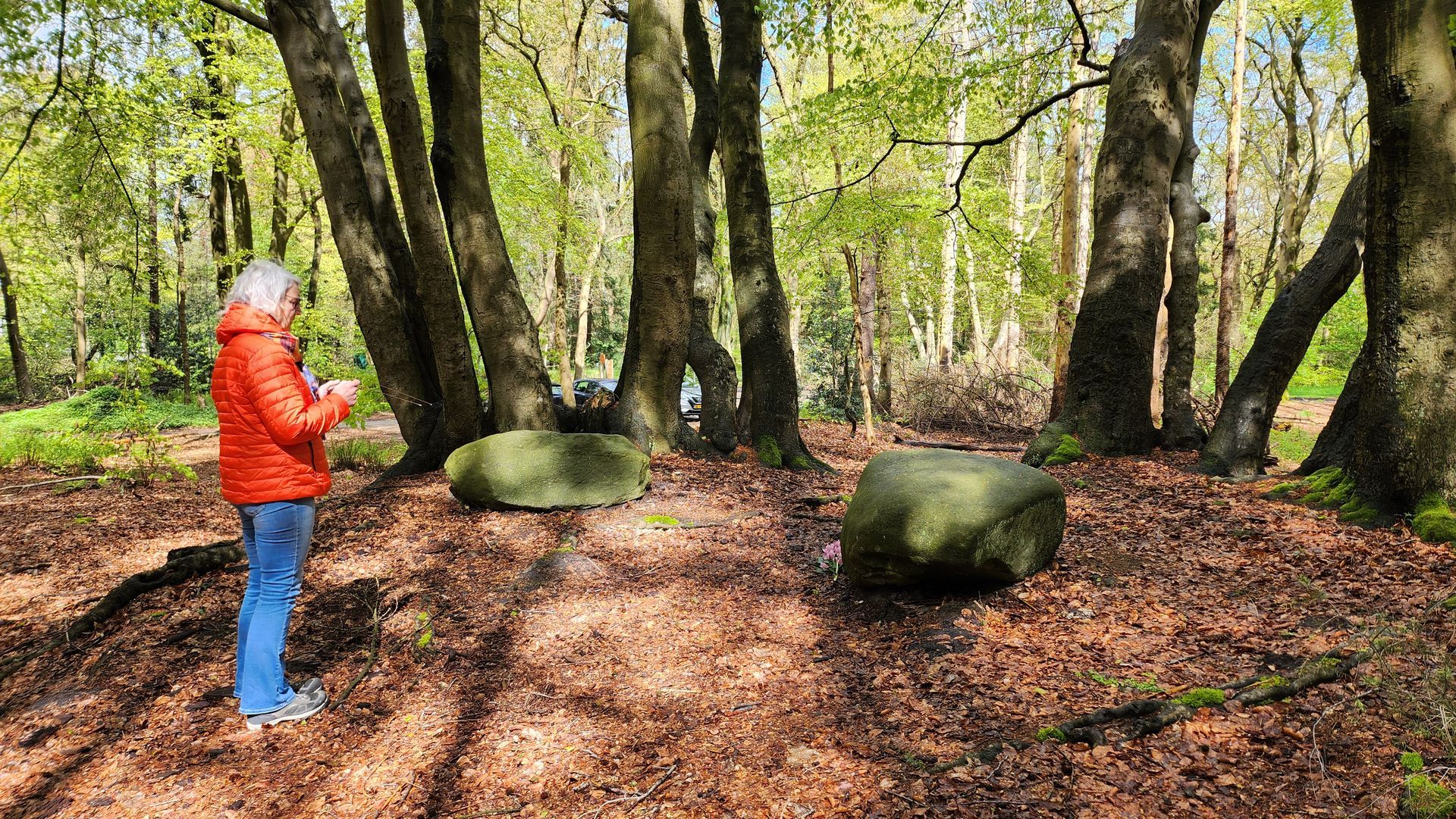 Een persoon in een feloranje jas staat in een zonnig, met bladeren bedekt bos, vlakbij twee grote, met mos begroeide rotsblokken.