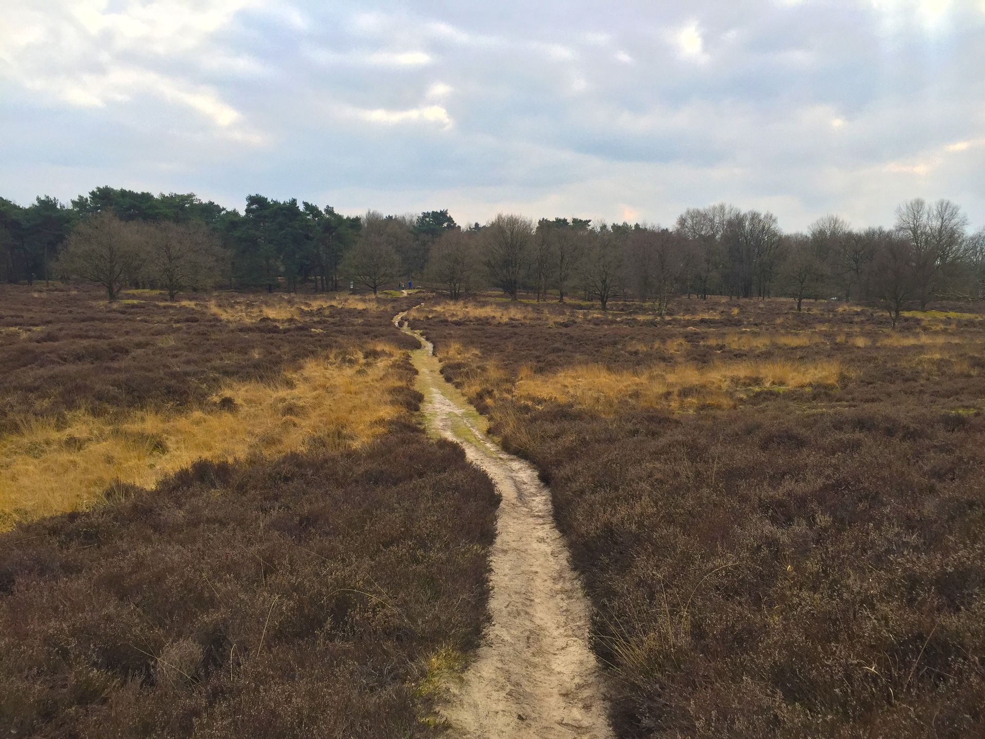 Een zandpad slingert door een uitgestrekt, open landschap van bruine heide en dor gras, dat onder een bewolkte hemel naar een boomgrens leidt.