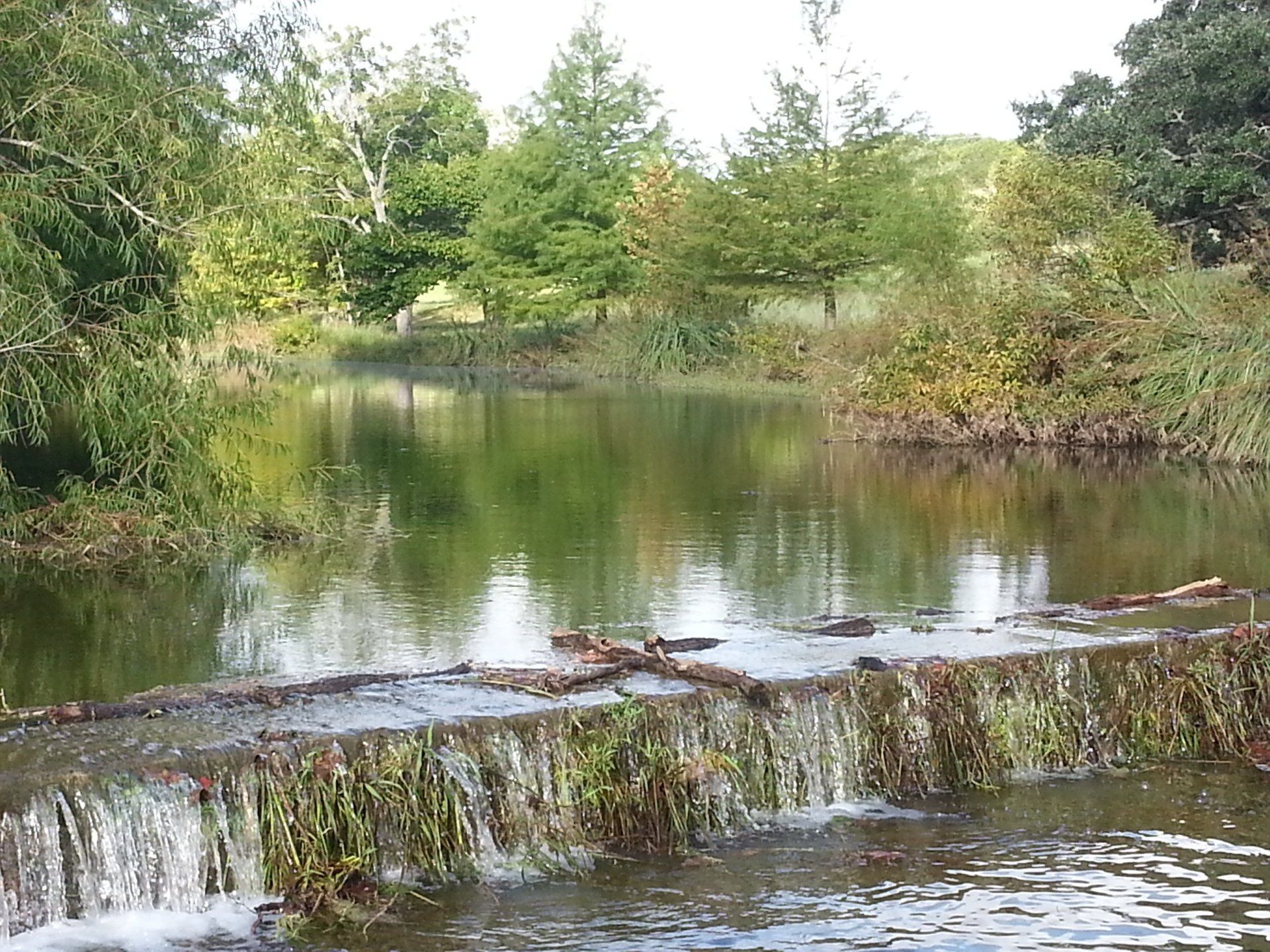 Bear-Creek-Dam