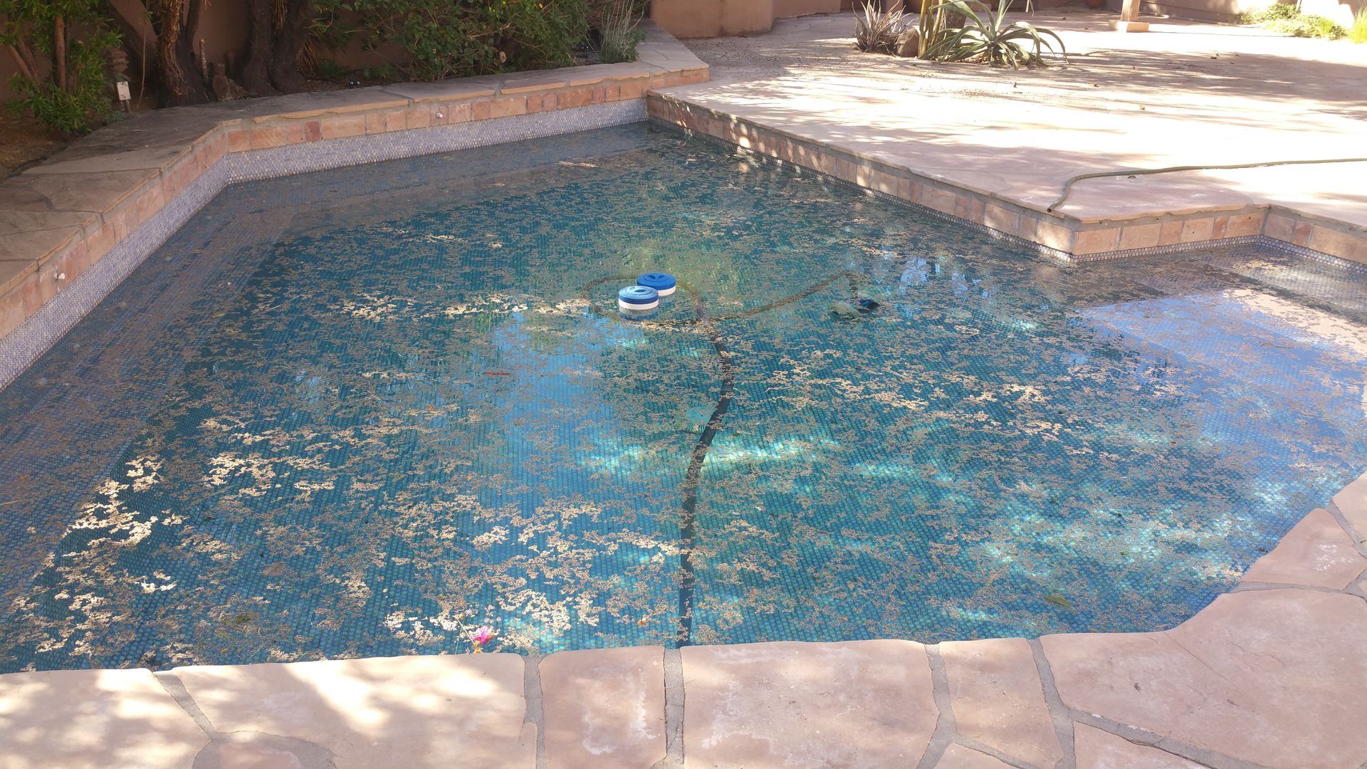 Small backyard swimming pool with blue water, floating debris, and stone coping surrounded by patio tiles