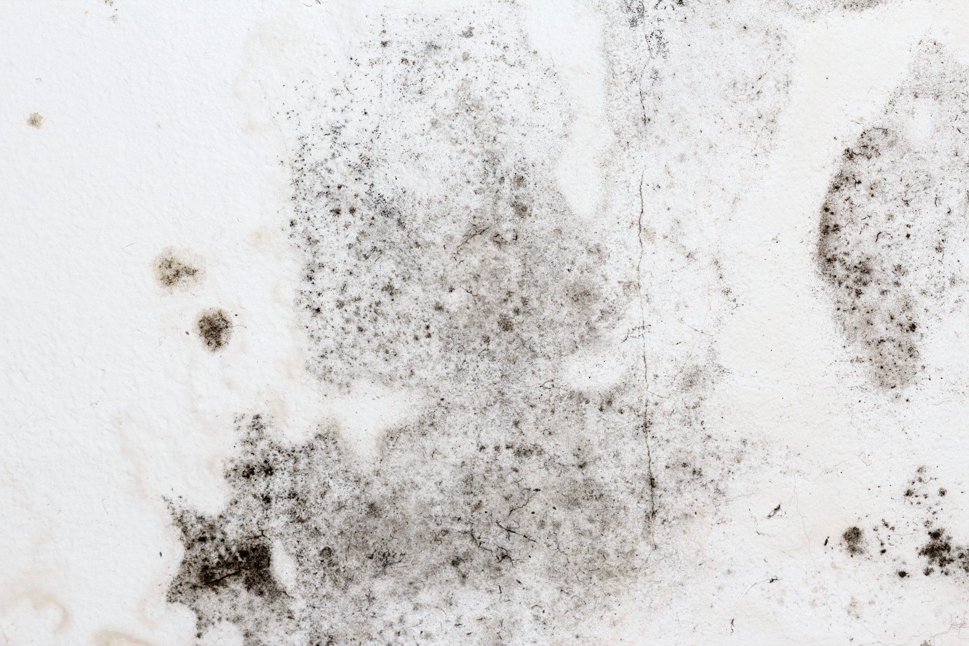 Fungal mold on an interior wall creating health problems for the home owners