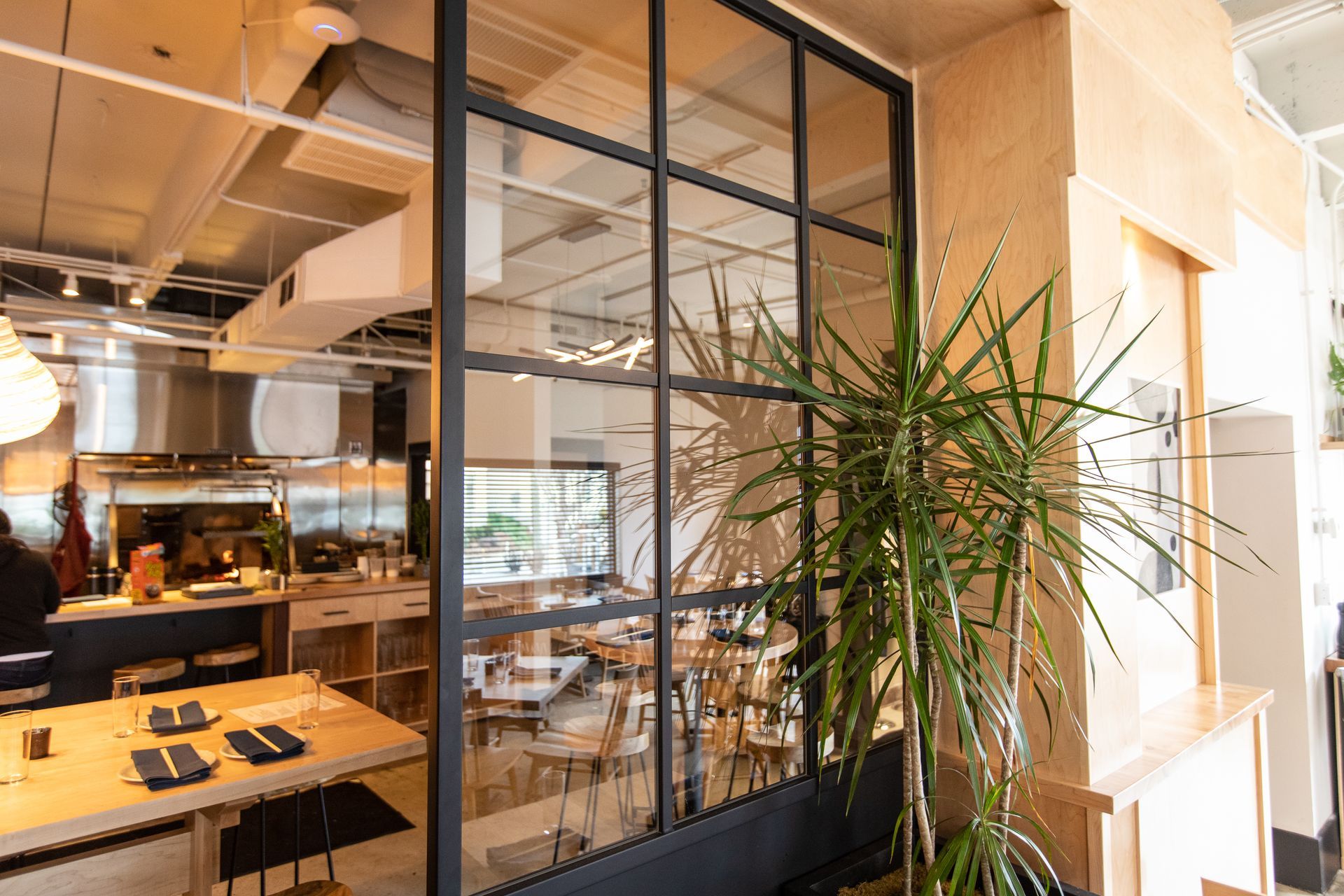 Glass-walled office interior with wooden tables, black frames, and a tall potted plant