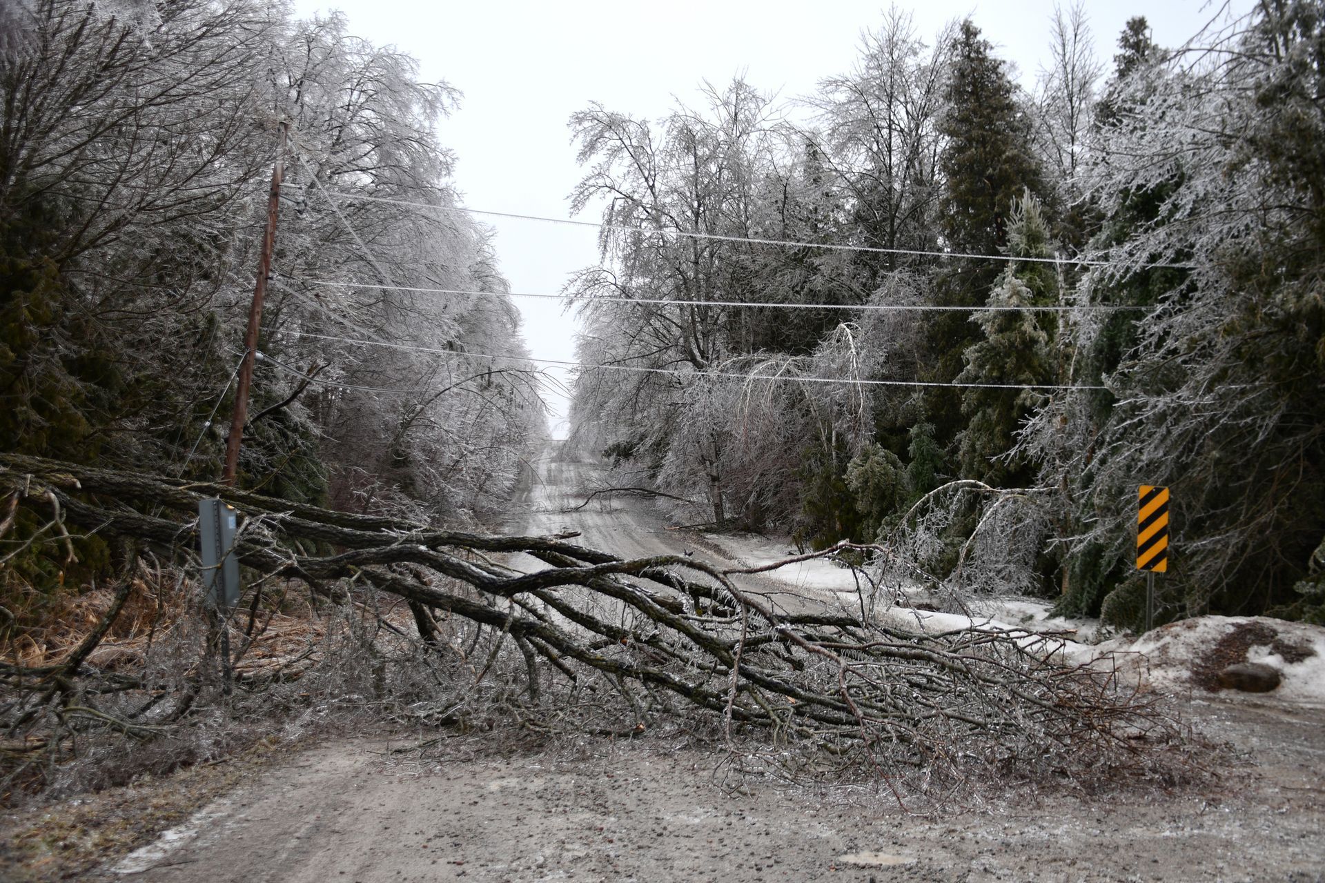 Snow-covered road blocked by fallen tree branches, with ice on trees and a roadside warning sign.