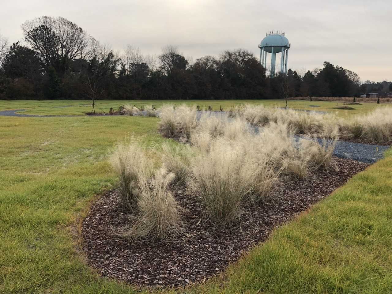 Natural Burial Services 2