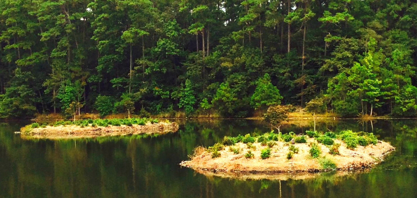 Private Islands 3