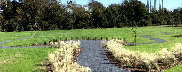 Natural Burial 2
