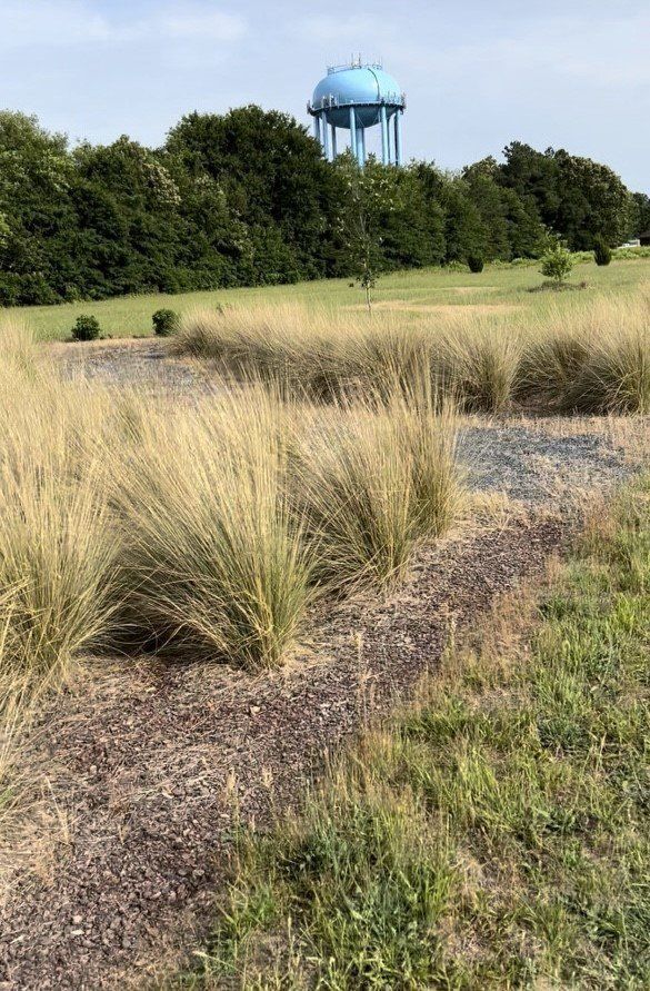 Natural Burial 5