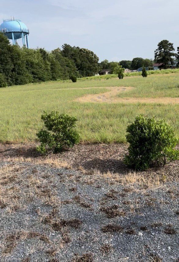 Natural Burial 6