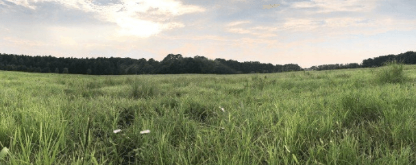 Natural Burial 3
