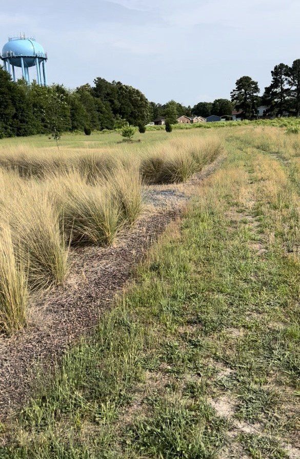 Natural Burial Services 8
