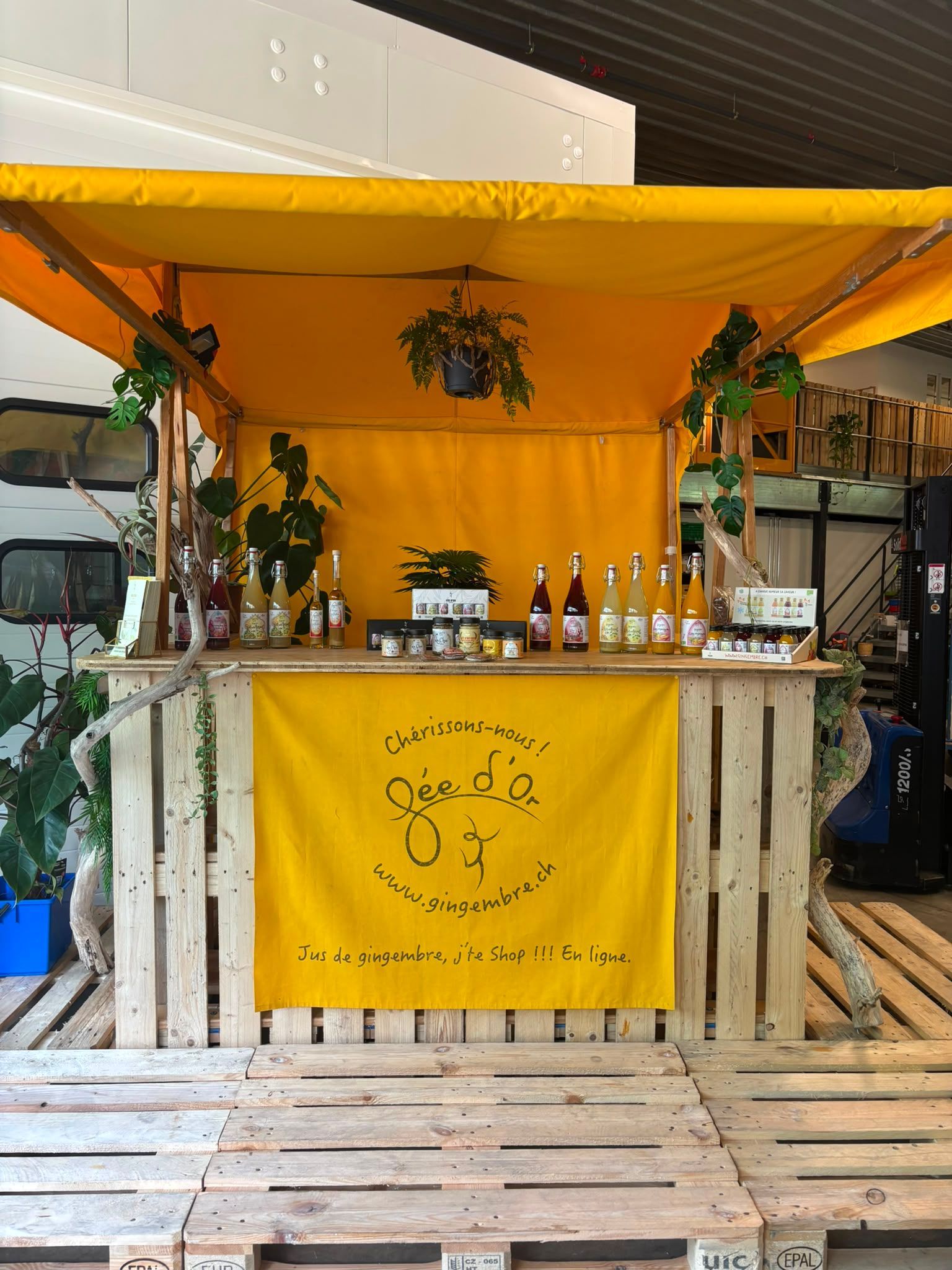 Bar Fée d'Or à notre dépôt