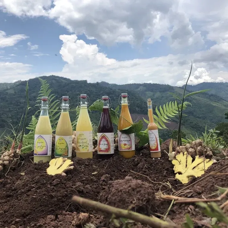 Bouteilles de jus sur la terre, avec des montagnes et des plantes en arrière-plan.