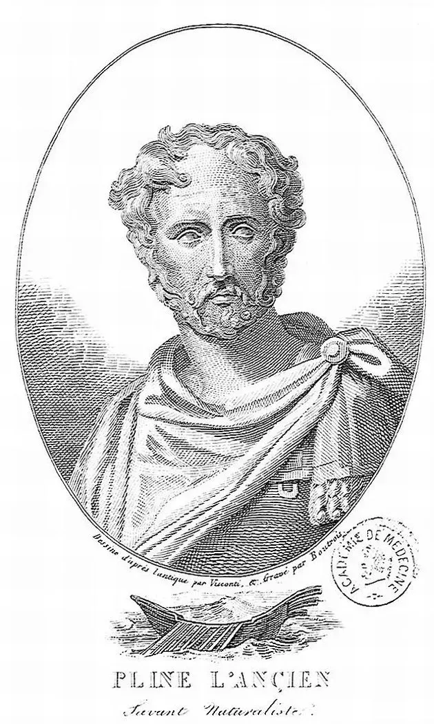 Portrait de Pline l'Ancien dans un cadre ovale, vêtu d'une toge.