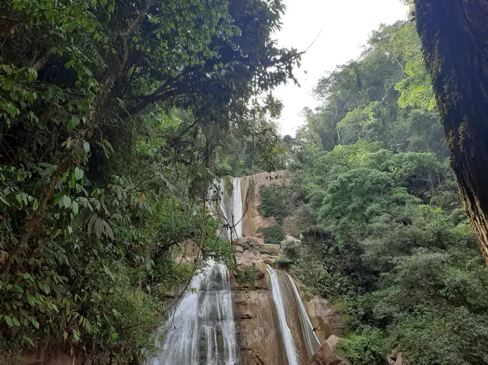 Une cascade dévale une paroi rocheuse, entourée d'une végétation luxuriante dans un décor de jungle.