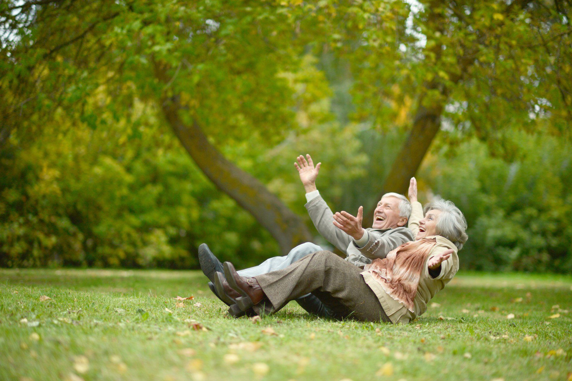 Healthy Age Friendly Homes