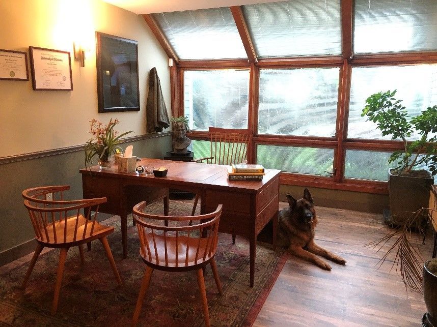 a german shepherd laying on the floor in front of a desk at the albany clinic in carbondale Illinois