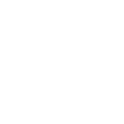 co-founder icon