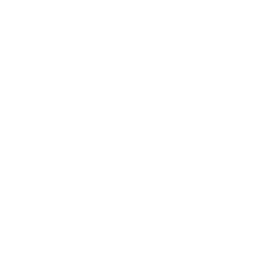 chairman icon