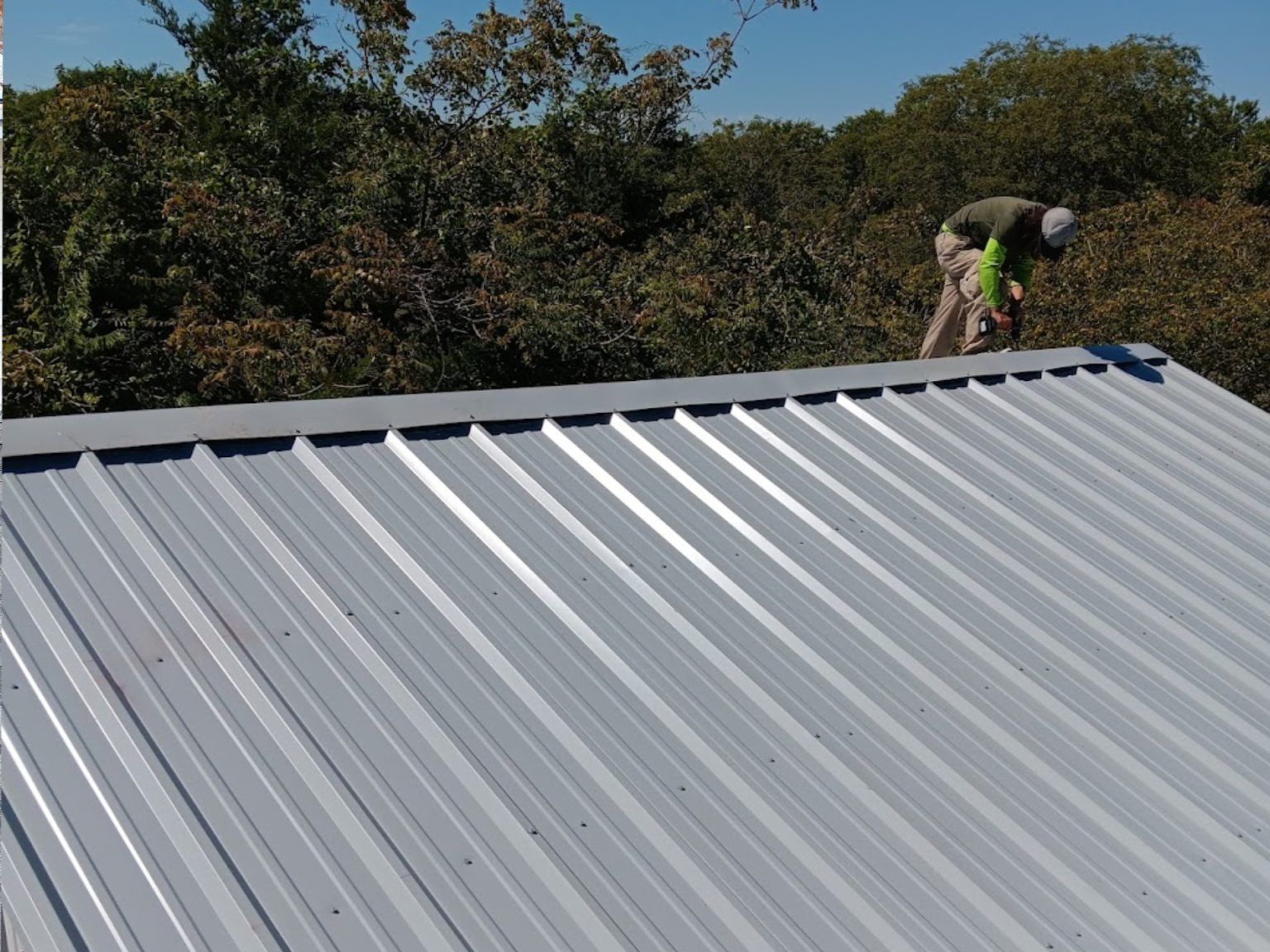 Worker on a corrugated metal roof near trees, installing or repairing roofing panels.