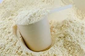Whey Protein powder