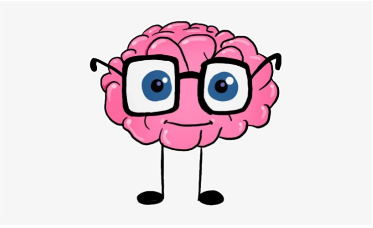 Brain Brain