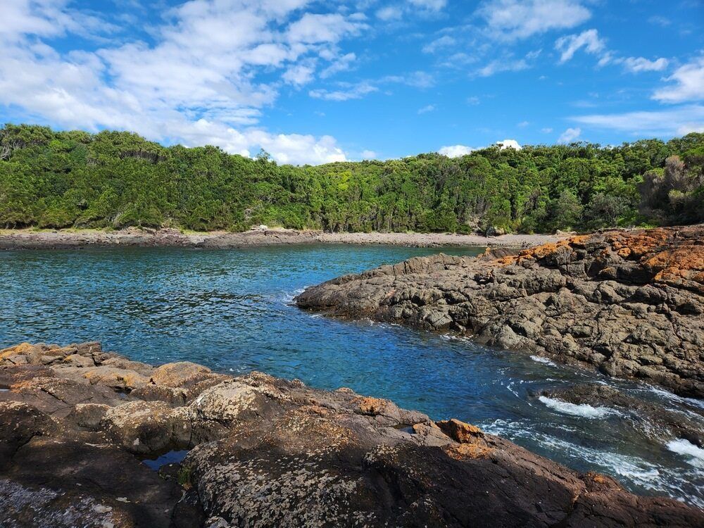 An Aerial View of a River Surrounded by Trees and Mountains — Active Lifestyle Supports In Shellharbour, NSW
