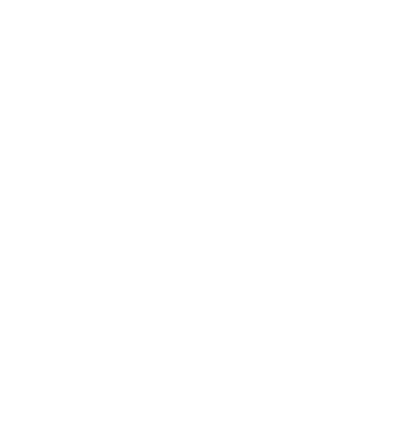 Solo Logo linked to home page