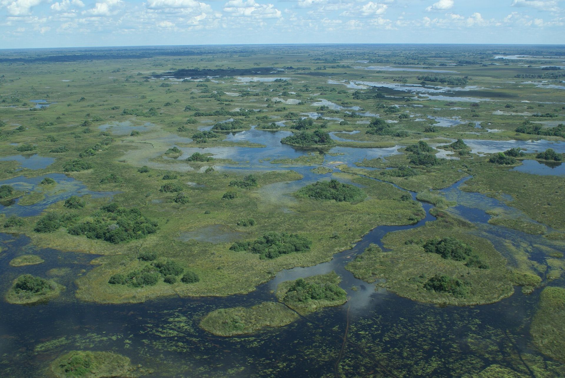 Romantic Safari Experiences in the Okavango Delta for Couples