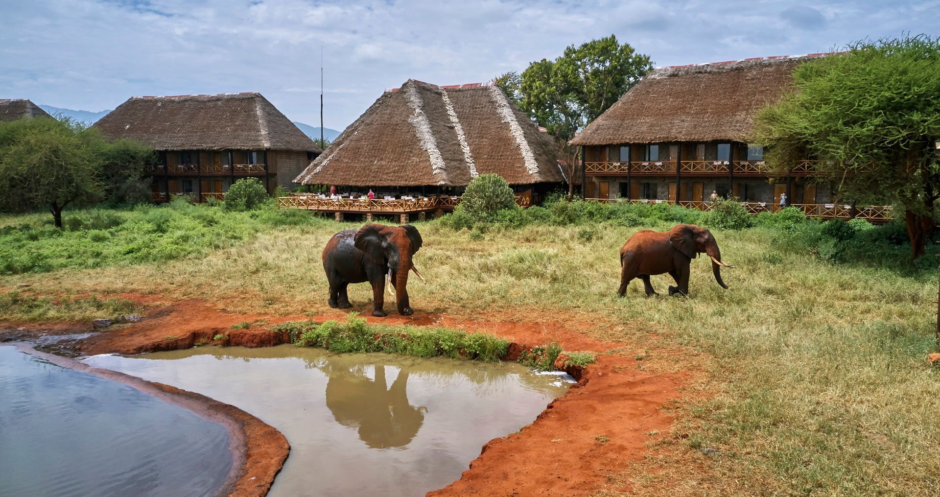 Ngutuni Lodge