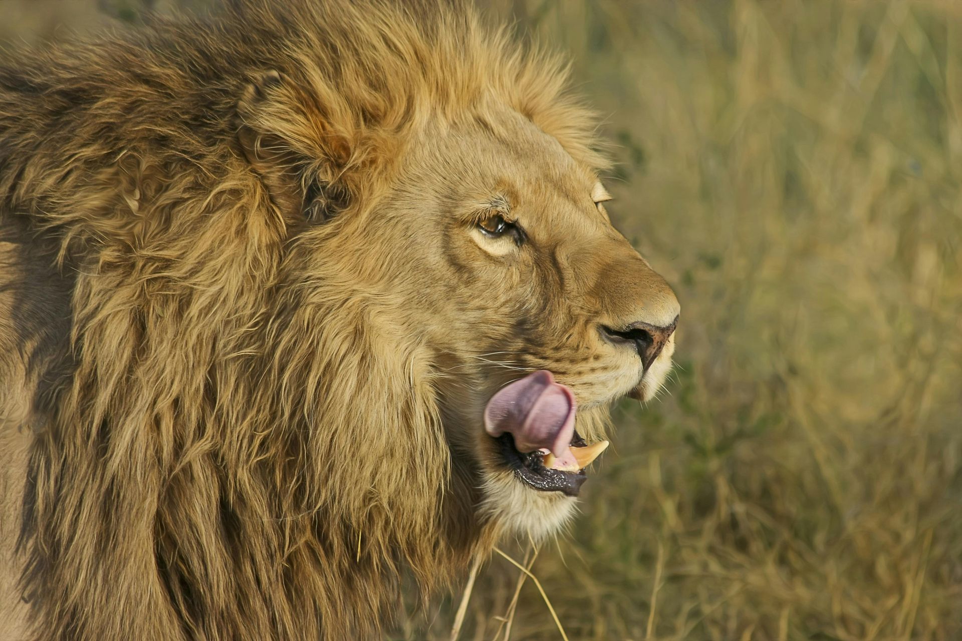 Serengeti National Park