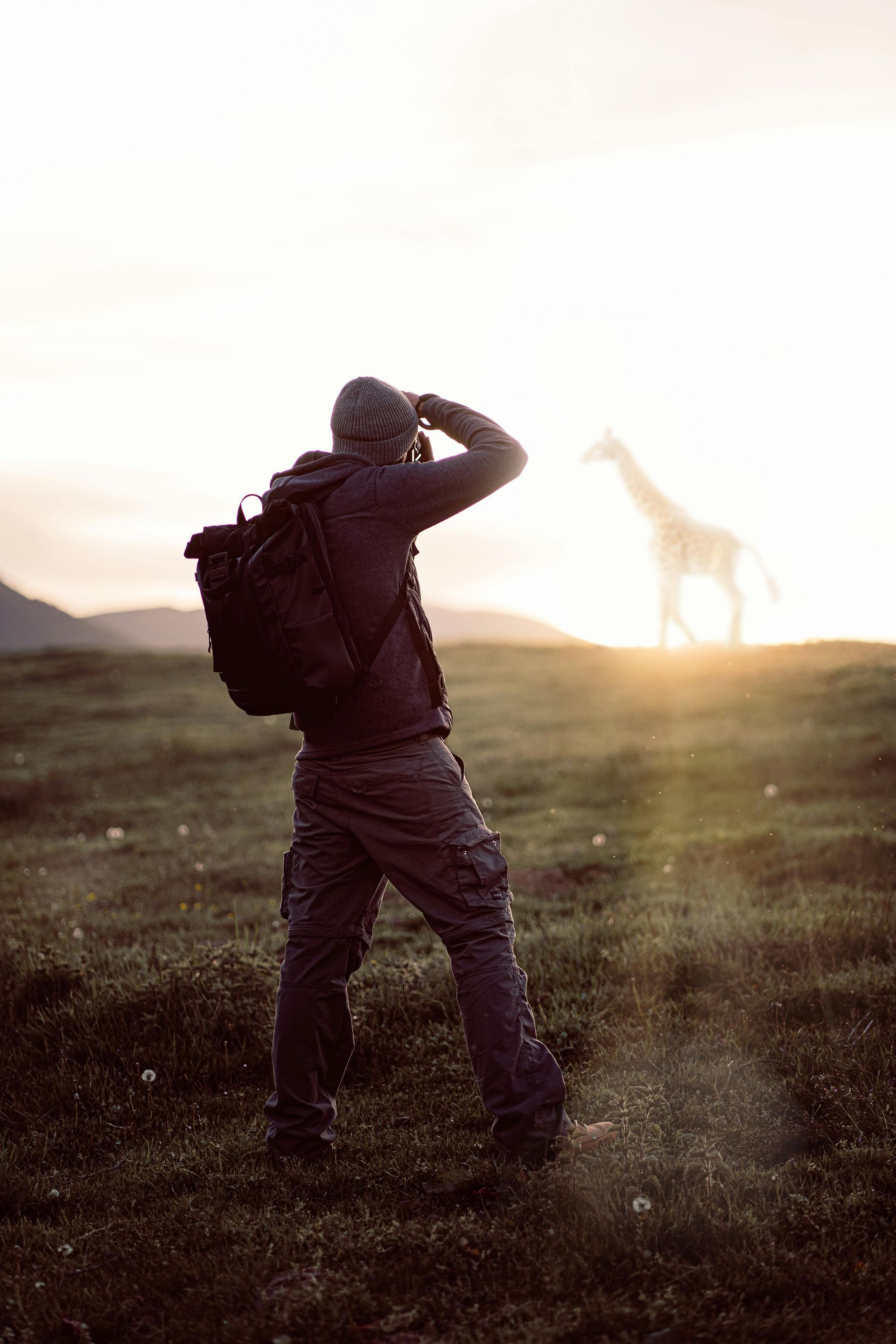 Wildlife moments that tell a story