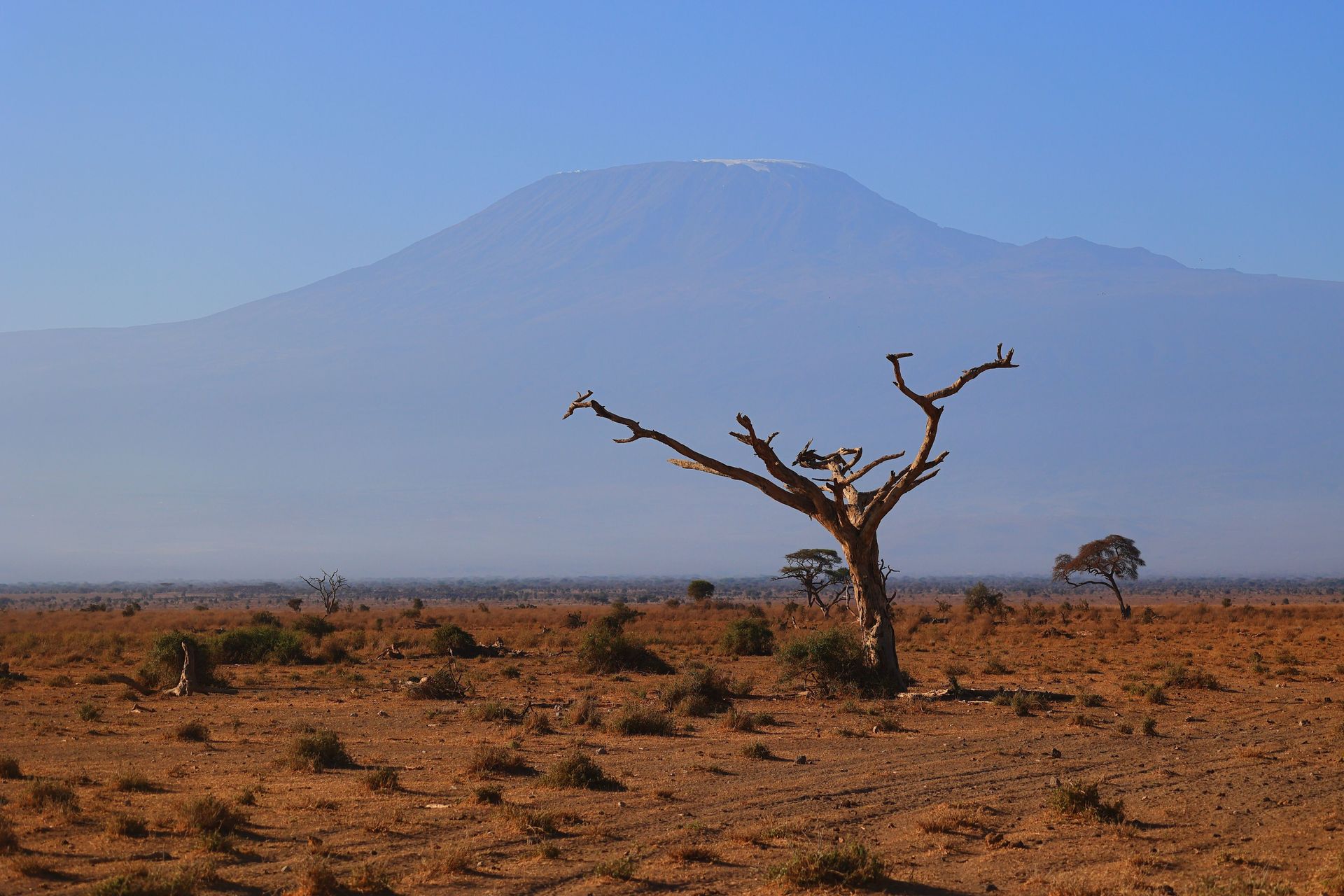 Wildlife photographer viewing elephants from a respectful distance beneath an East African mountain