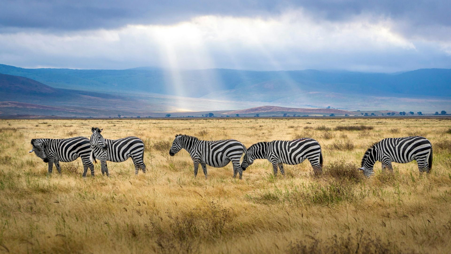 Tanzania – Wild Beauty and Luxury in Seclusion