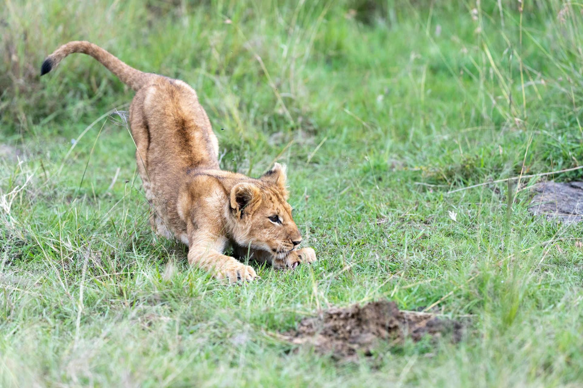 Liwonde National Park