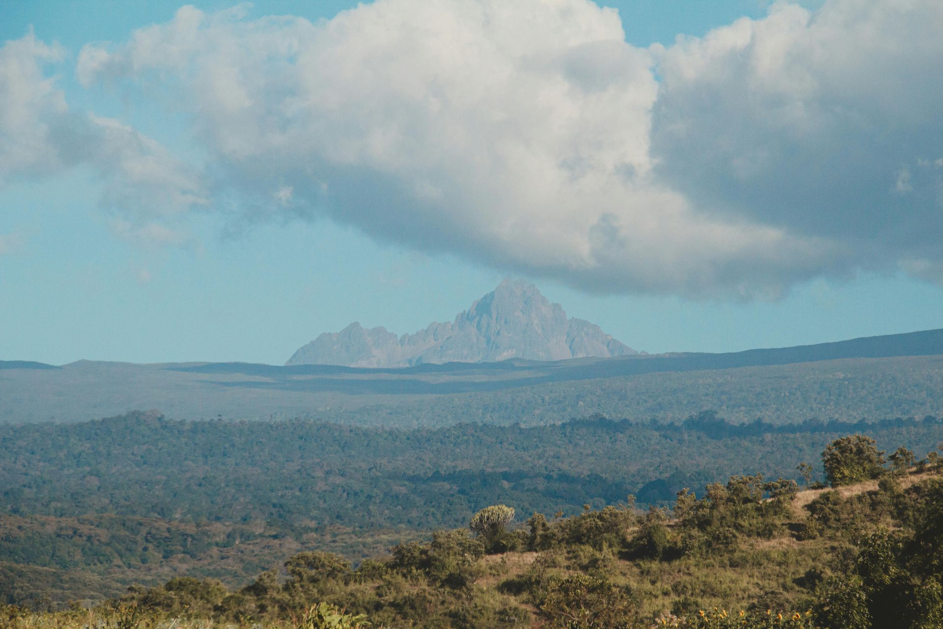 Rare and Endangered Species: Mount Kenya Safari Holidays to Remember