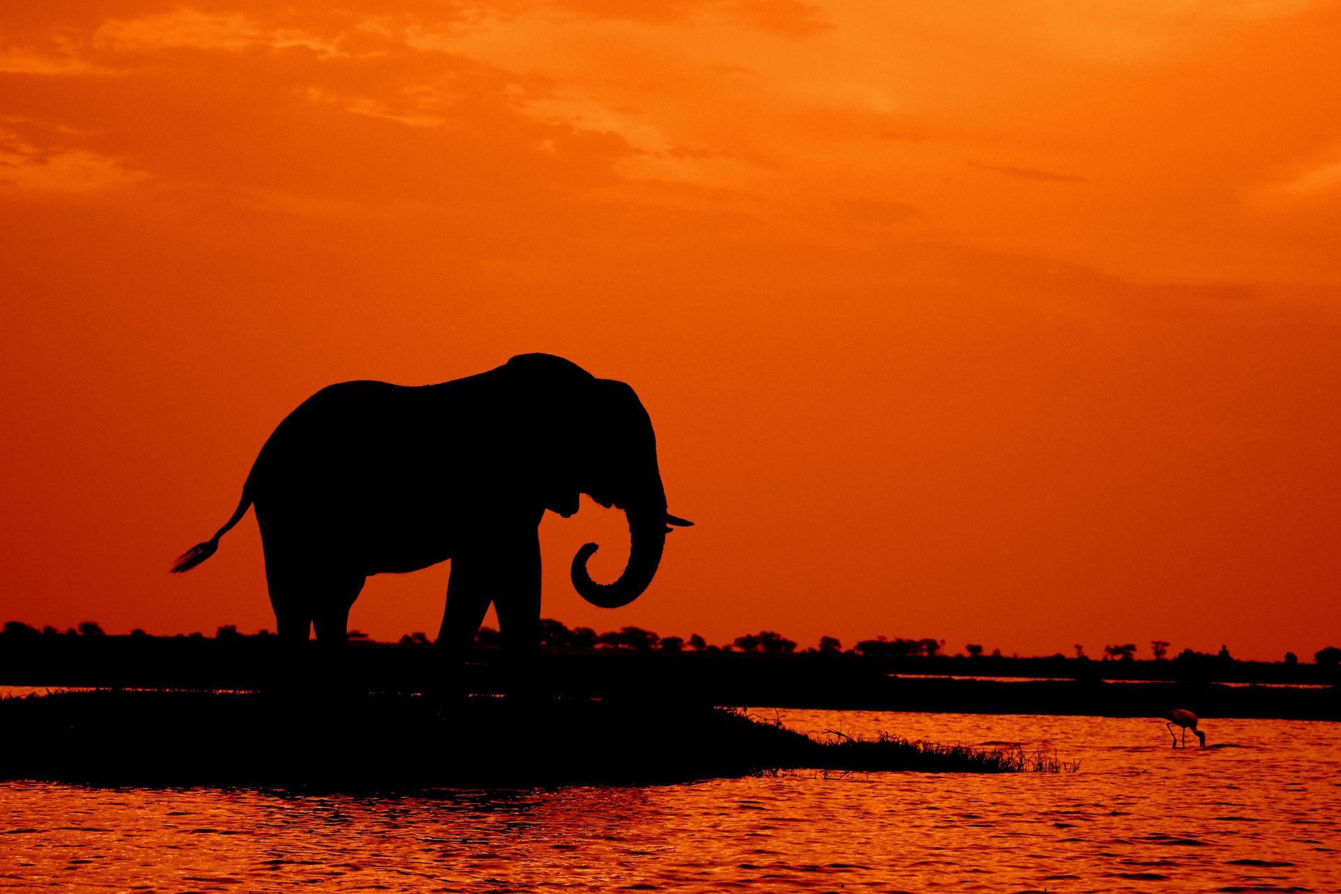 What to Pack for Safaris in Chobe National Park | Awake in the Wild