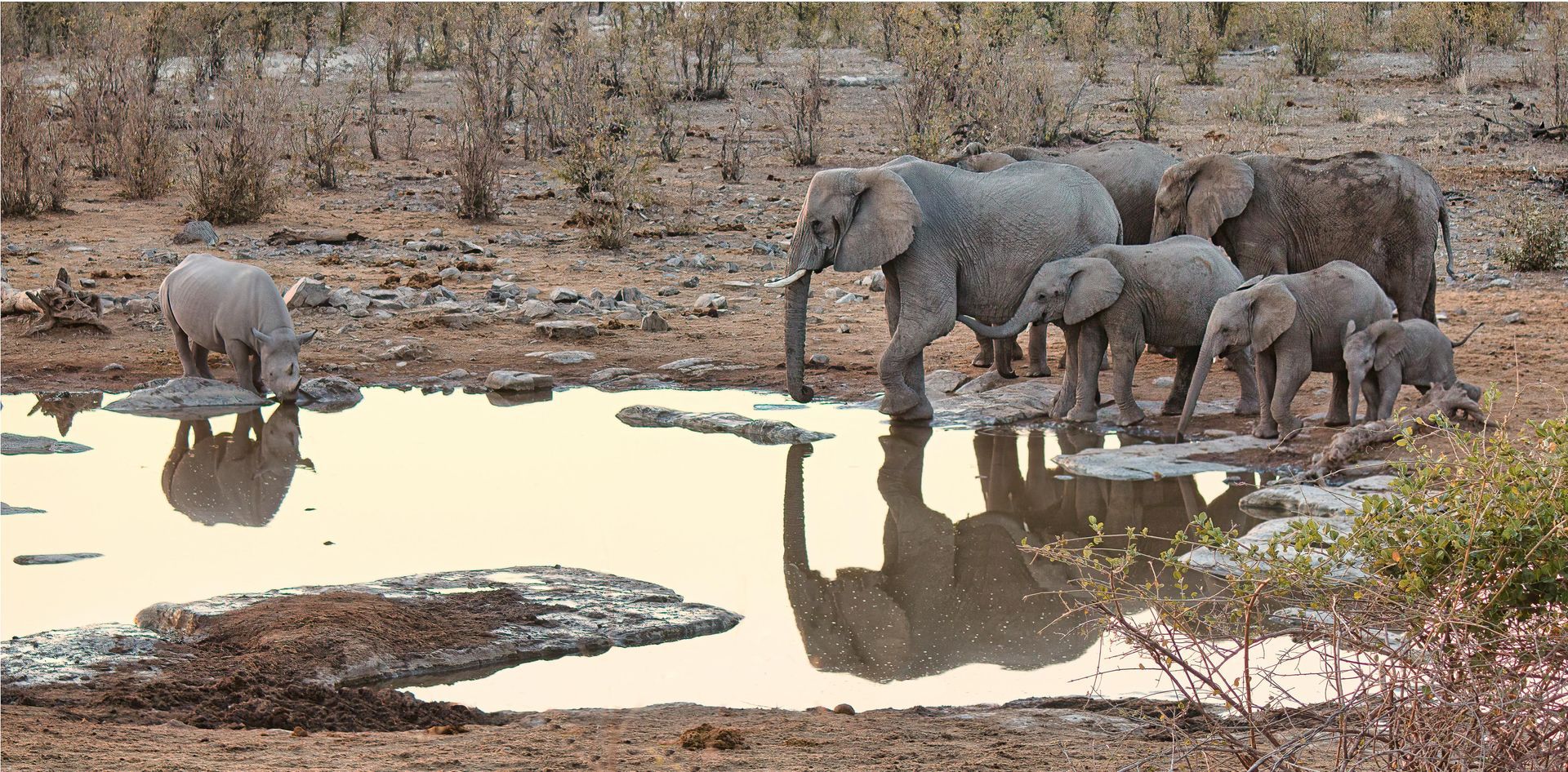 Safari Holidays in Lower Zambezi National Park