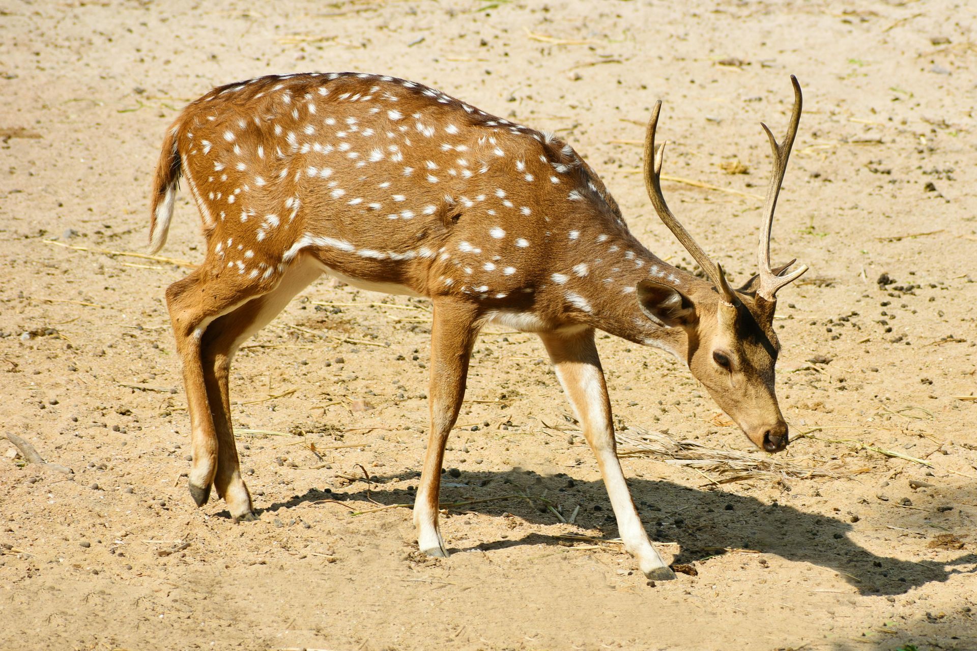 Nkhotakota Wildlife Reserve