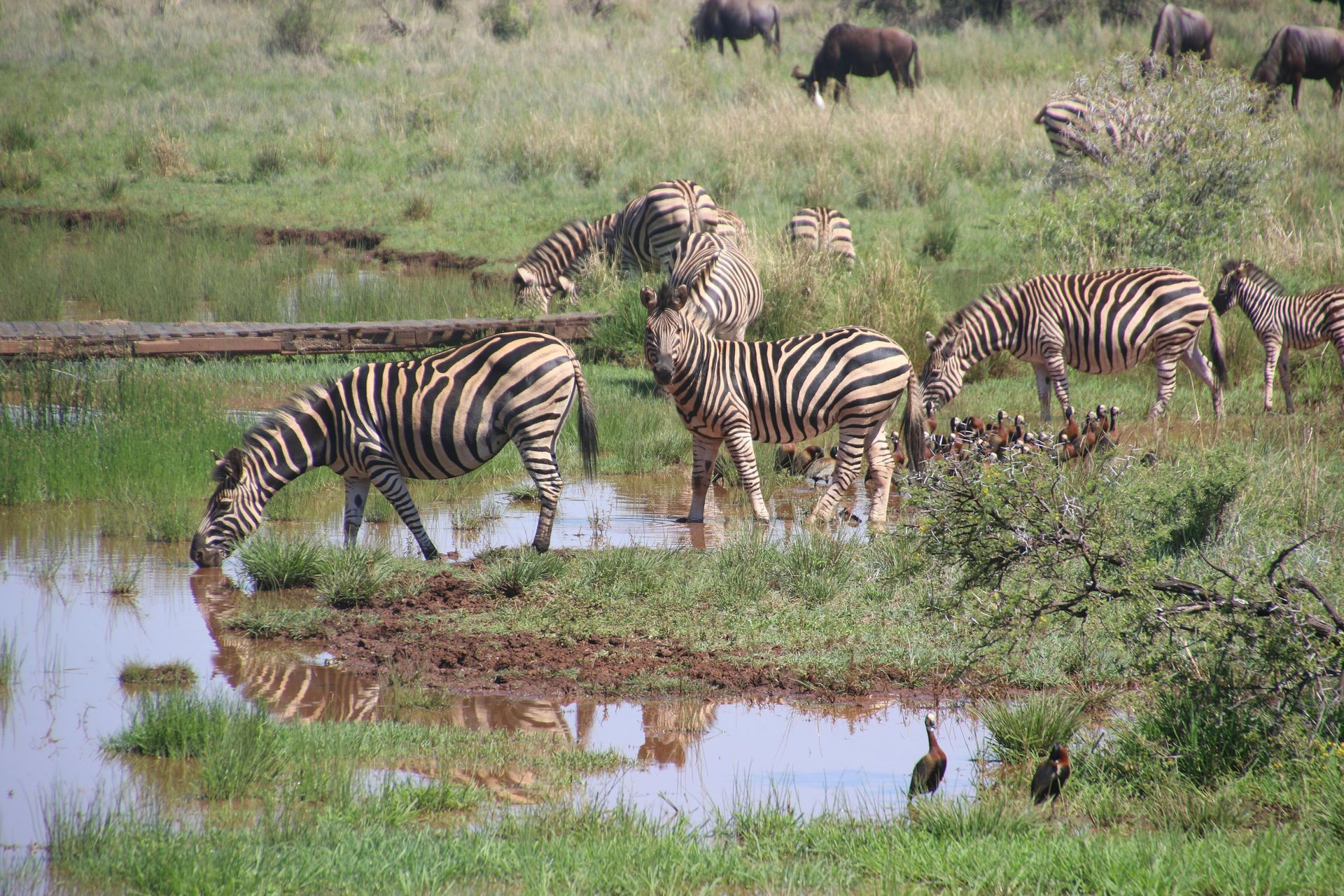 Matusadona National Park Safari Holidays
