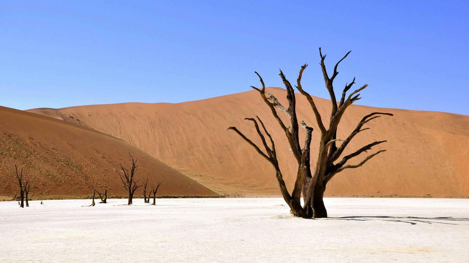 Namibia Safaris