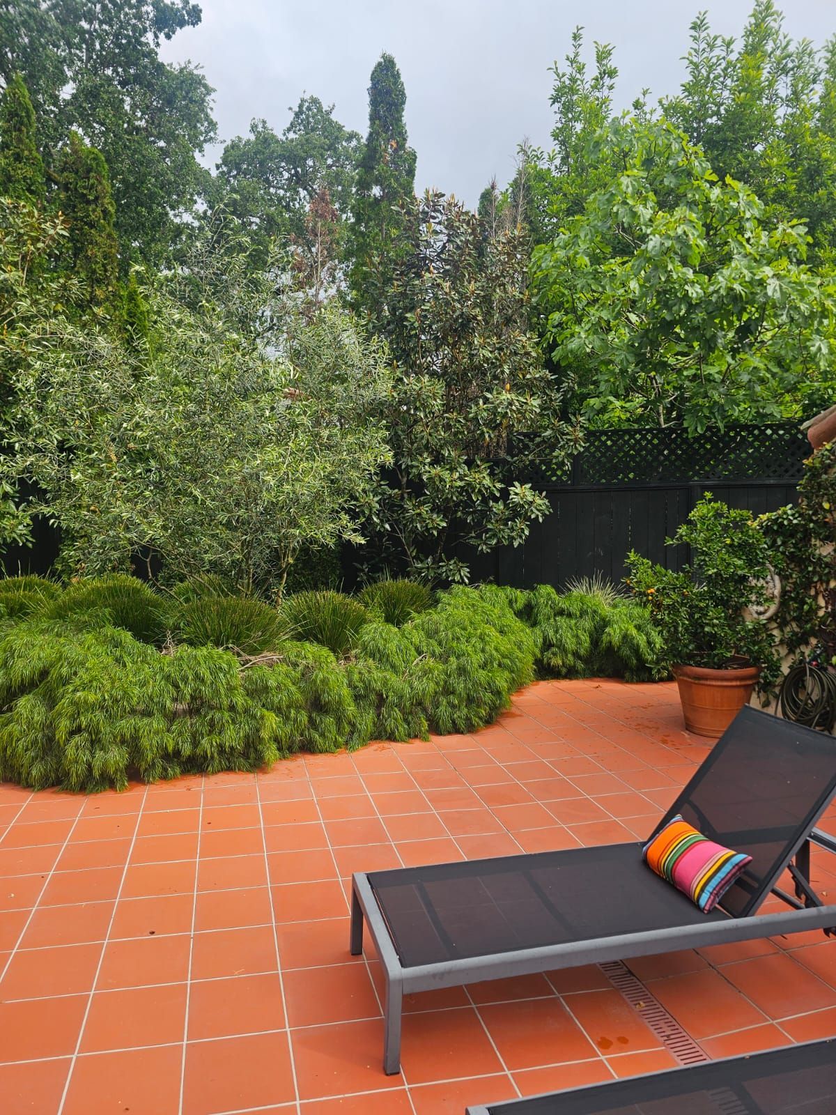 Patio with terracotta tiles, black lounge chair, and lush green garden trees and shrubs