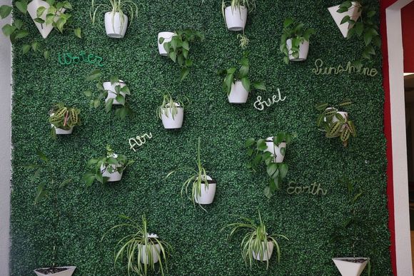 A wall with lots of potted plants hanging from it.