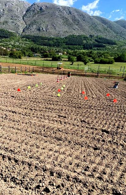 centro equi emozionale presso forme di massa d'albe La Libertà del cuore