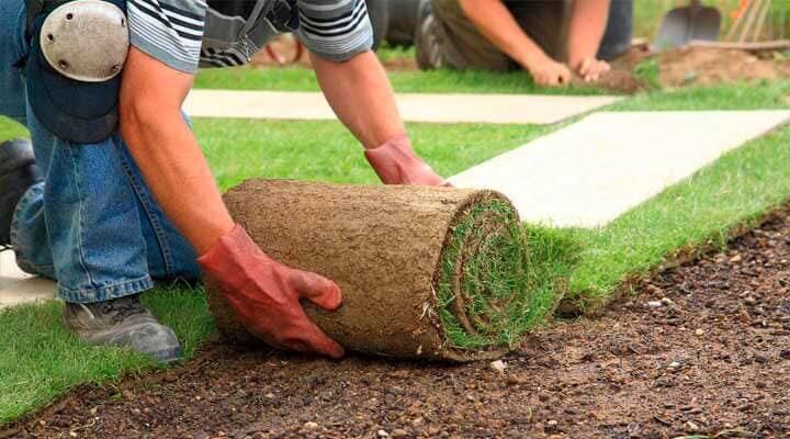 CREA JARDÍN