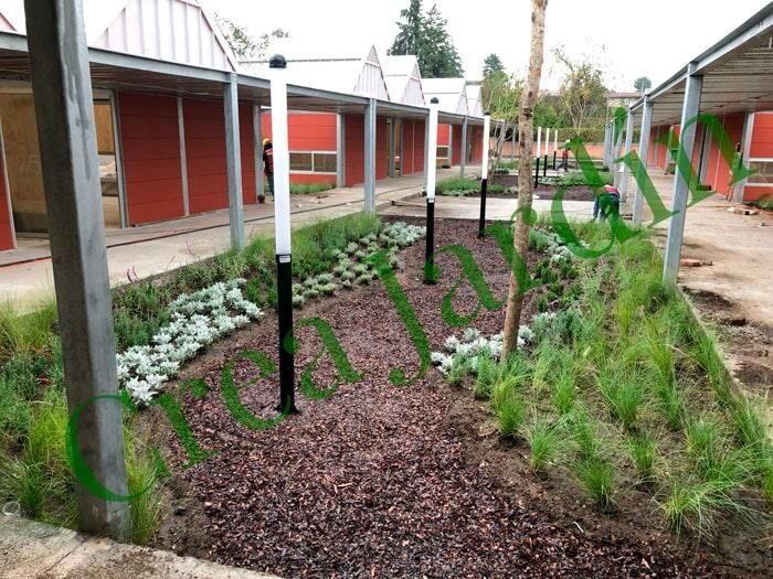 CREA JARDÍN