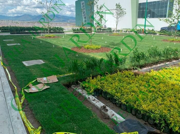 CREA JARDÍN