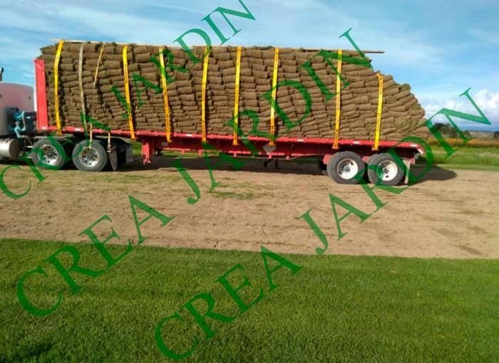 CREA JARDÍN