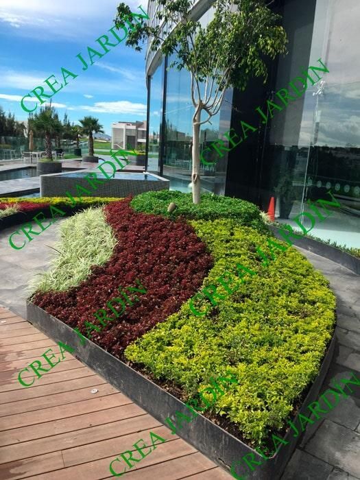 CREA JARDÍN