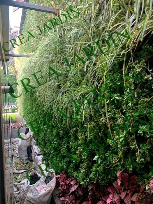 CREA JARDÍN