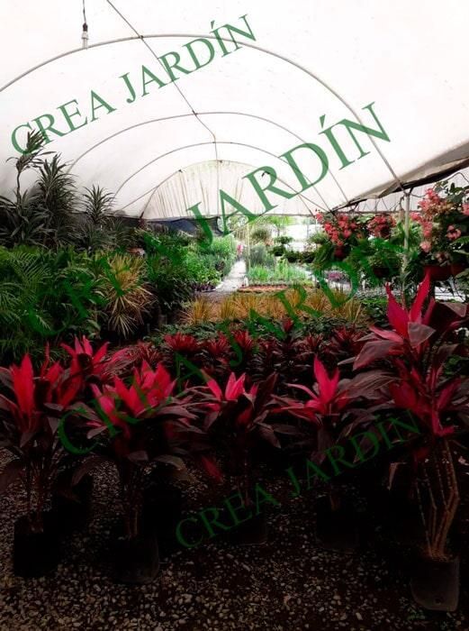 CREA JARDÍN